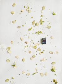 Gems by Annette Kelm contemporary artwork photography