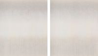 Untitled No. 11023-07 (diptych), by Shen Chen contemporary artwork painting