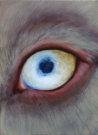 Canis Lupus familiaris by 罗 曼 · 贝 尼 尼 Romain Bernini contemporary artwork painting