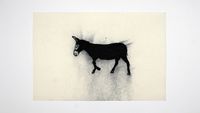 A Donkey Still 028 by Sadik Kwaish Alfraji contemporary artwork print