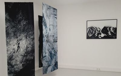 Exhibition view: Giulio Rimondi, ARTICA, Galerie Tanit, Munich (7 March–11 April 2024). Courtesy Galerie Tanit.
