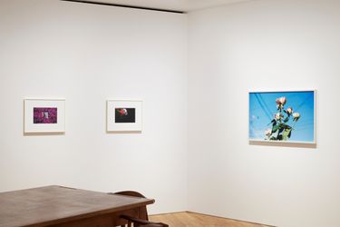 Exhibition view: My Flower, Taka Ishii Gallery, Photography/Film, Tokyo (16 February–19 March 2021). Courtesy Taka Ishii Gallery. Photo: Kenji Takahashi.