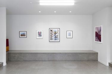 Exhibition view: Peter Peryer, Colour, Hamish McKay, Wellington (13 August–3 September 2022). Courtesy Hamish McKay.