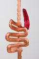 Biomorph (Pipes) by Caroline Rothwell contemporary artwork 13