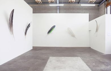 Exhibition view: Neil Dawson, equipoise, Jonathan Smart Gallery, Christchurch (6 August–3 September 2022). Courtesy Jonathan Smart Gallery.