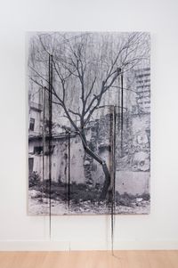 Sin titulo (Árbol-Cerro) / Untitled (Tree-Closed) by Carlos Garaicoa contemporary artwork photography, mixed media