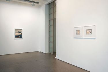 Exhibition view: Ian Wallace, Tropismes, Galerie Greta Meert, Brussels (20 April–20 July 2012). Courtesy Galerie Greta Meert.