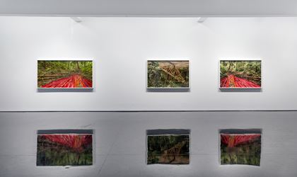 Exhibition view: Rosemary Laing, Buddens, Tolarno Galleries, Melbourne (22 March–28 April 2018). Courtesy Tolarno Galleries. Photo: Andrew Curtis. 