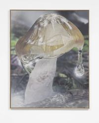 Mushroom 1, Brown cap by Craig Boagey contemporary artwork painting