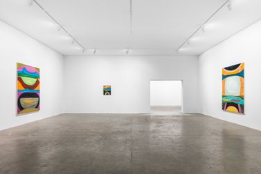 Exhibition view: Marina Perez Simão, 5 Paintings, Mendes WoodDM, São Paulo (2 April–29 May 2022). Courtesy Mendes Wood DM. 