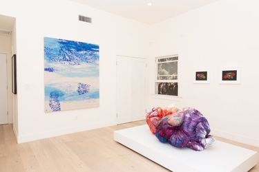 Exhibition view: if still ourselves, a thing to become, The Little City Farm LA, Baik Art, Los Angeles (17 July–31 July 2021). Courtesy Baik Art, Los Angeles. 