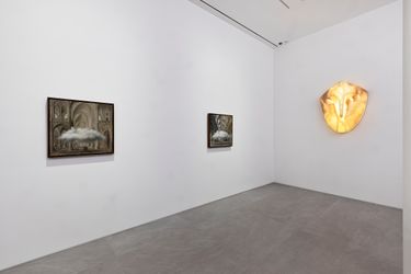 Exhibition view: Laurent Grasso, ANIMA, Dosan Park, Seoul. Courtesy the artist and Perrotin. Photo: Hwang Jung wook. 
