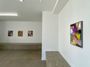 Contemporary art exhibition, Robin Neate, Recent Paintings at Hamish McKay, Wellington, New Zealand