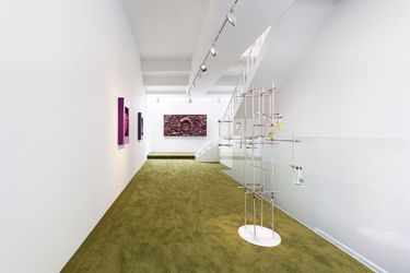 Exhibition view: Anicka Yi, Begin Where You Are, Gladstone Gallery, Seoul (31 May–8 July 2022). Courtesy Gladstone Gallery. Photo: Chunho An.