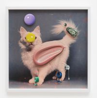 Sea and Pus (Photograph of Cat) #3 by Teppei Kaneuji contemporary artwork painting, works on paper, photography, print, mixed media