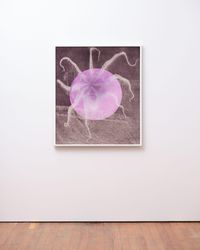 Nocturne (Octopus) by Gavin Hipkins contemporary artwork print