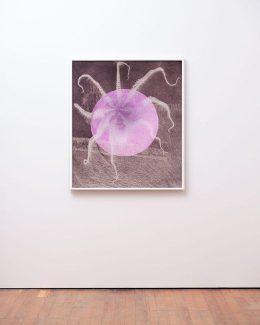 Nocturne (Octopus) by Gavin Hipkins contemporary artwork