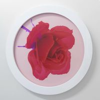 Red glass rose, apricot by Hye Rim Lee contemporary artwork print