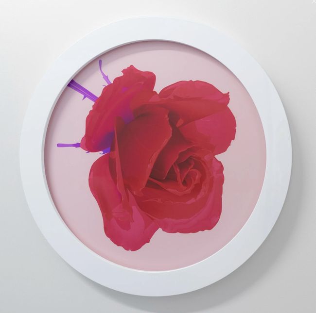 Red glass rose, apricot, 2023 by Hye Rim Lee | Ocula