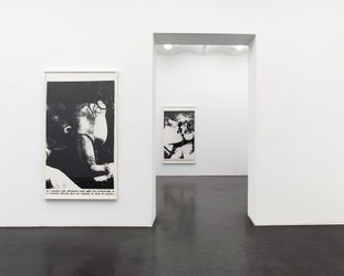 Exhibition view: Lutz Bacher, Sex with Strangers, 1986, Galerie Buchholz (9 April–31 May 2014). Courtesy Galerie Buchholz.