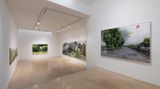 Contemporary art exhibition, Honggoo Kang, Study of Green-Seoul-Vacant Lot at ONE AND J. Gallery, Seoul, South Korea