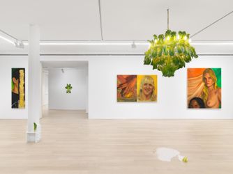 Exhibition view: Chloe Wise, Thank You For The Nice Fire, Almine Rech, New York (4 March—17 April 2021). Courtesy The Artist and Almine Rech. Photo: Dan Bradica.