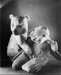 Teddy Bears by Ruth Bernhard contemporary artwork photography