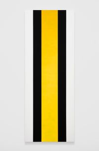 Untitled (Black/White/Yellow) by Mary Corse contemporary artwork painting