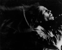 Bob Marley, Final Performance, Madison Square Garden, New York by Chester Higgins contemporary artwork photography