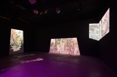 Exhibition view: Wu Chi-Yu and Chen Pu, Blurring Realities: Greenhouse and Beyond, TKG+, Taipei (2 March–20 April 2024). Courtesy TKG+, Taipei.