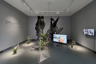 Exhibition view: aaajiao, Deep Simulator, Tabula Rasa Gallery, London (4 June–30 July 2021). Courtesy Tabula Rasa Gallery. 