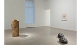 Contemporary art exhibition, Giuseppe Penone, A Question of Identity at Marian Goodman Gallery, New York, USA