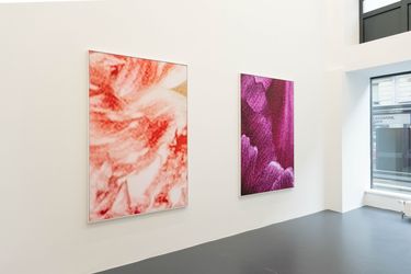 Exhibition view: Gian Losinger, I wish I called you sooner, Fabienne Levy, Lausanne (1 February–14 March 2024). Courtesy Fabienne Levy. Photo: Gian Losinger.