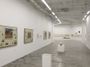 Contemporary art exhibition, Liu Chuanhong, Xing’an West Art Group at A Thousand Plateaus Art Space, Chengdu, China