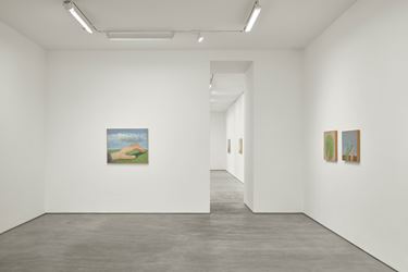 Exhibition view: Co Westerik, body and landscape, Sadie Coles HQ, Kingly Street, London (19 September–2 November 2019). Courtesy Sadie Coles HQ.