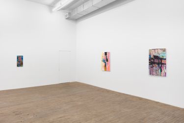 Exhibition view: Hayley Tompkins, Features, Andrew Kreps Gallery, 55 Walker St (25 February–26 March 2022). Courtesy Andrew Kreps Gallery. Photo: Lance Brewer.