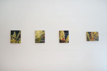 Exhibition view: Chafa Ghaddar, Cacti in a Daydream, Galerie Tanit, Beyrouth (1 July–18 September 2021). Courtesy Galerie Tanit.