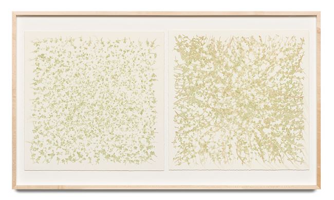 Edibles – NTUC Finest, OH’ FARMS, Thyme, each 50 g by Haegue Yang contemporary artwork