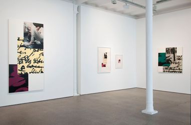 Exhibition view: Ian Wallace, Tropismes, Galerie Greta Meert, Brussels (20 April–20 July 2012). Courtesy Galerie Greta Meert.