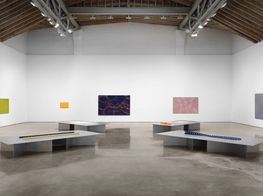 Paula Cooper Gallery