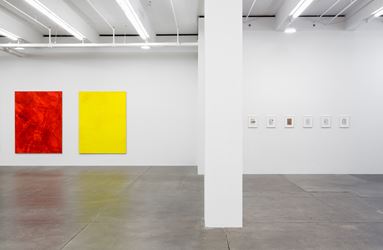 Exhibition view: Cheyney Thompson, Somewhere Some Pictures Sometimes, Andrew Kreps Gallery, New York ( 7 September–21 October 2017). Courtesy Andrew Kreps Gallery, New York.