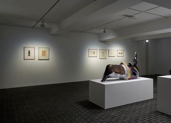 Exhibition view: Moon Shin and Gwon Osang, Carving in, Modeling out, ARARIO GALLERY, Seoul (1 May–22 June 2024). Courtesy ARARIO GALLERY.