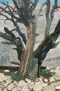 Tree 2 by Jason Bereswill contemporary artwork painting