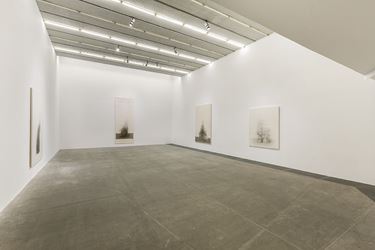 Exhibition view: Shao Fan, Big Rabbit+, Galerie Urs Meile, Beijing (14 May–17 July 2016). Courtesy Galerie Urs Meile.