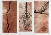 memory scar, finger lime, root, casuarina and yeronga studio found object by Judy Watson contemporary artwork painting, works on paper, drawing
