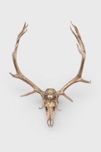 Elk Skull by Sherrie Levine contemporary artwork sculpture