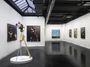 Contemporary art exhibition, Jason Boyd Kinsella, Anatomy of the Radiant Mind at Unit, London, United Kingdom