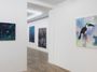 Contemporary art exhibition, Romain Bernini, Tristes Tropiques at HdM GALLERY, Beijing, China
