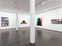 Contemporary art exhibition, Roger Brown, Hyperframe at Kavi Gupta, Washington Blvd, Chicago, United States