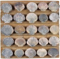 Untitled (25 scallop shells) by Rosalie Gascoigne contemporary artwork mixed media
